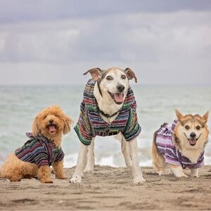 DOG Hooded Knit poncho in Purple & Pink Stripes